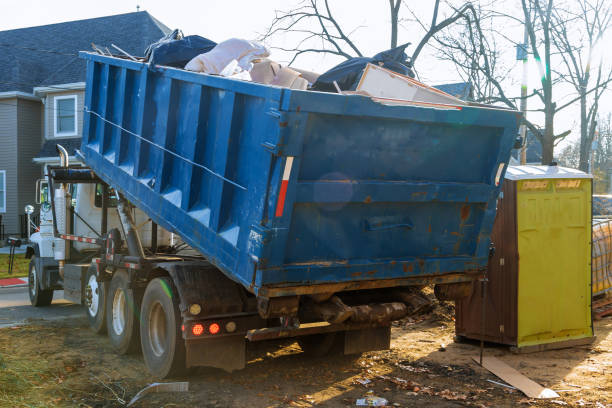 Yard Cleanup Services in Roanoke, VA