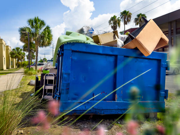 Best Professional Junk Removal  in Roanoke, VA
